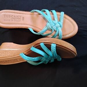 Blue and Tan Wedge Sandals with Criss-Cross Straps.Nwots. Size 10n